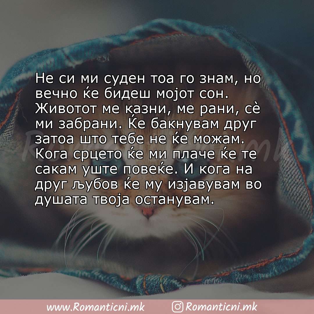 Ljubovni poraki: Не си ми суден тоа го знам, но вечно ќе бидеш мојот сон. Животот ме казни, ме рани, сè ми забрани. Ќе бакнувам друг затоа што те