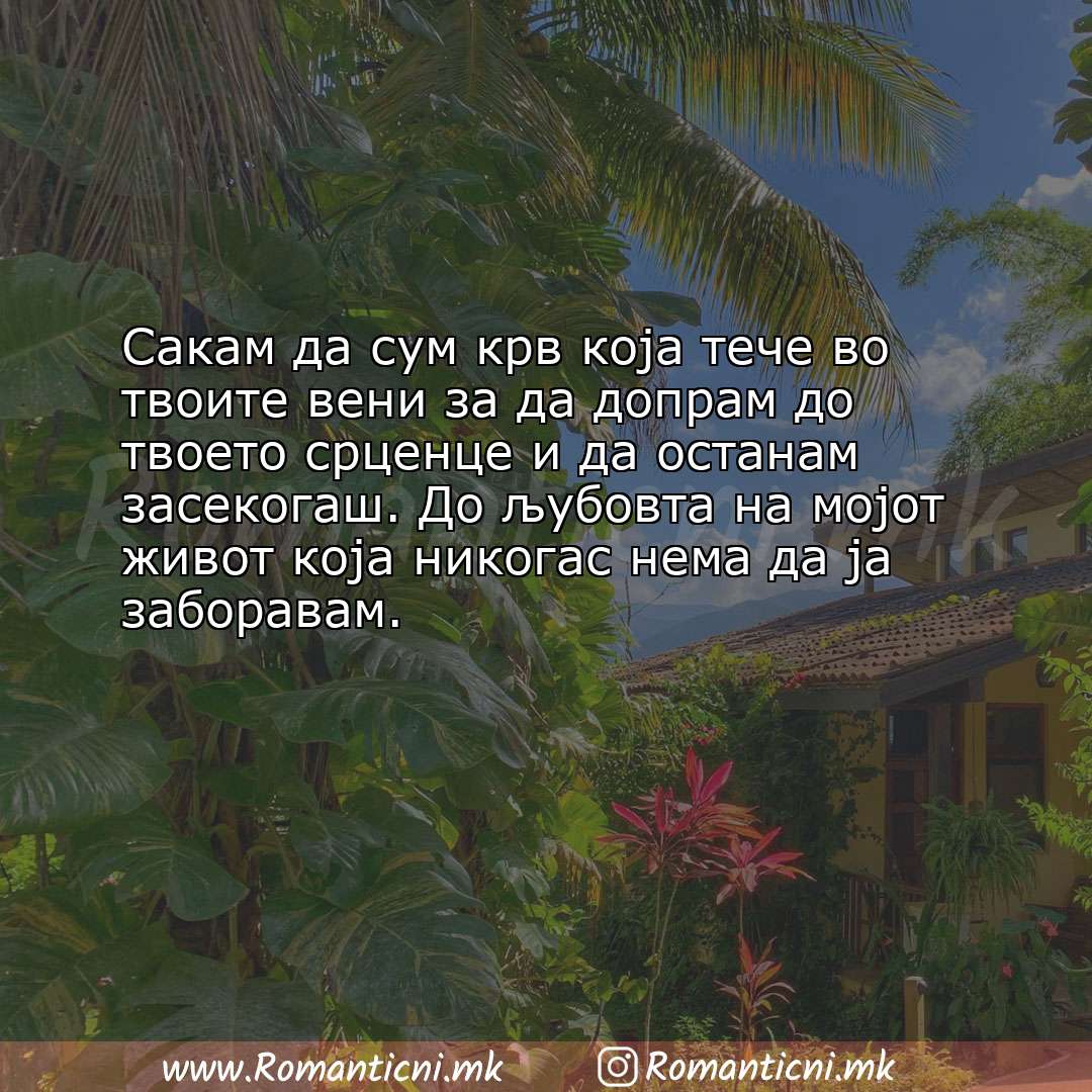 Ljubovni statusi: Сакам да сум крв која тече во твоите вени за да допрам до твоето срценце и да о