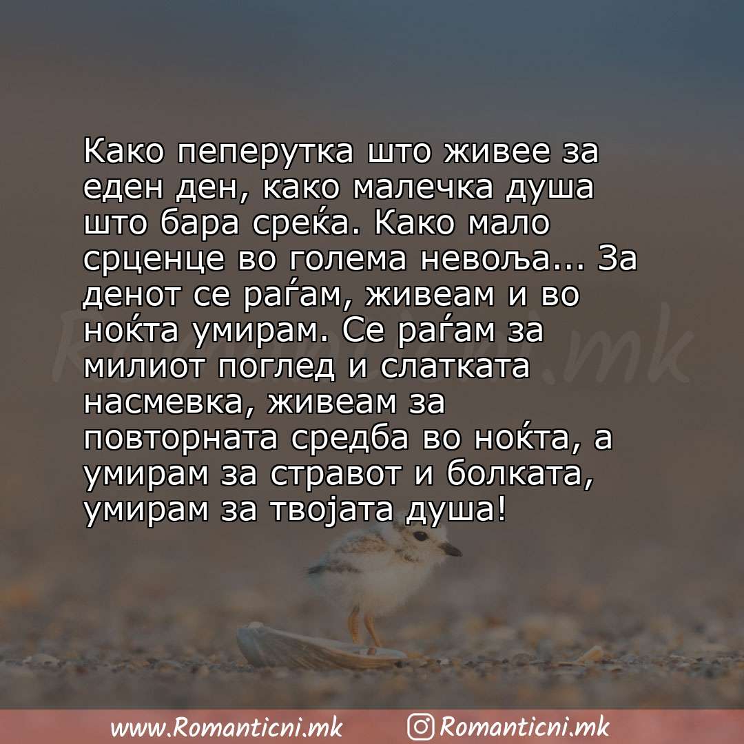 Ljubovni statusi: Како пеперутка што живее за еден ден, како малечка душа што бара среќа. Како мало срценце во голема невоља... За денот се раѓам, живеам и во ноќта у