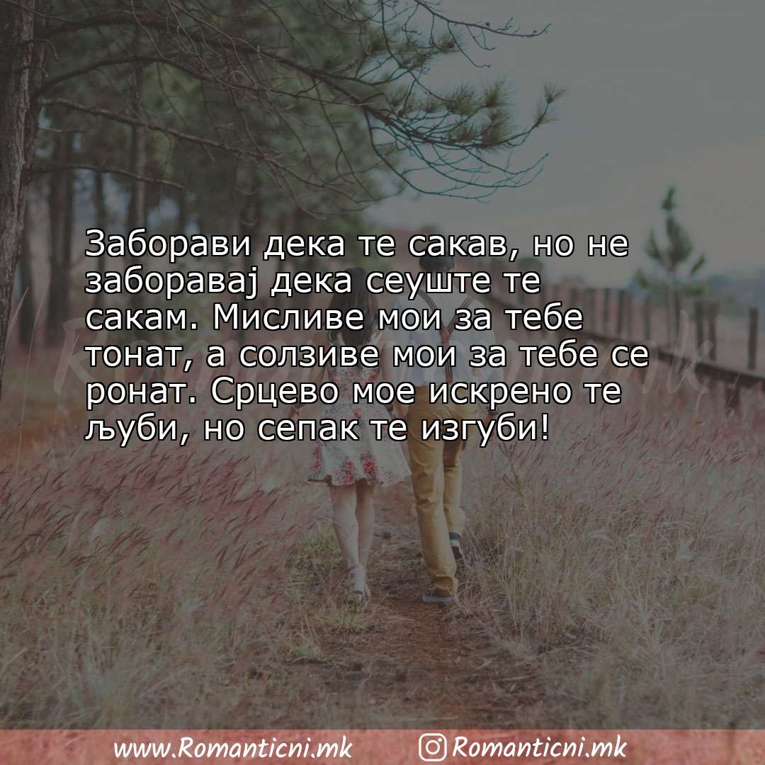 Poraki za dobra nok: Заборави дека те сакав, но не заборавај дека сеуште те сакам. Мисливе мои за тебе т