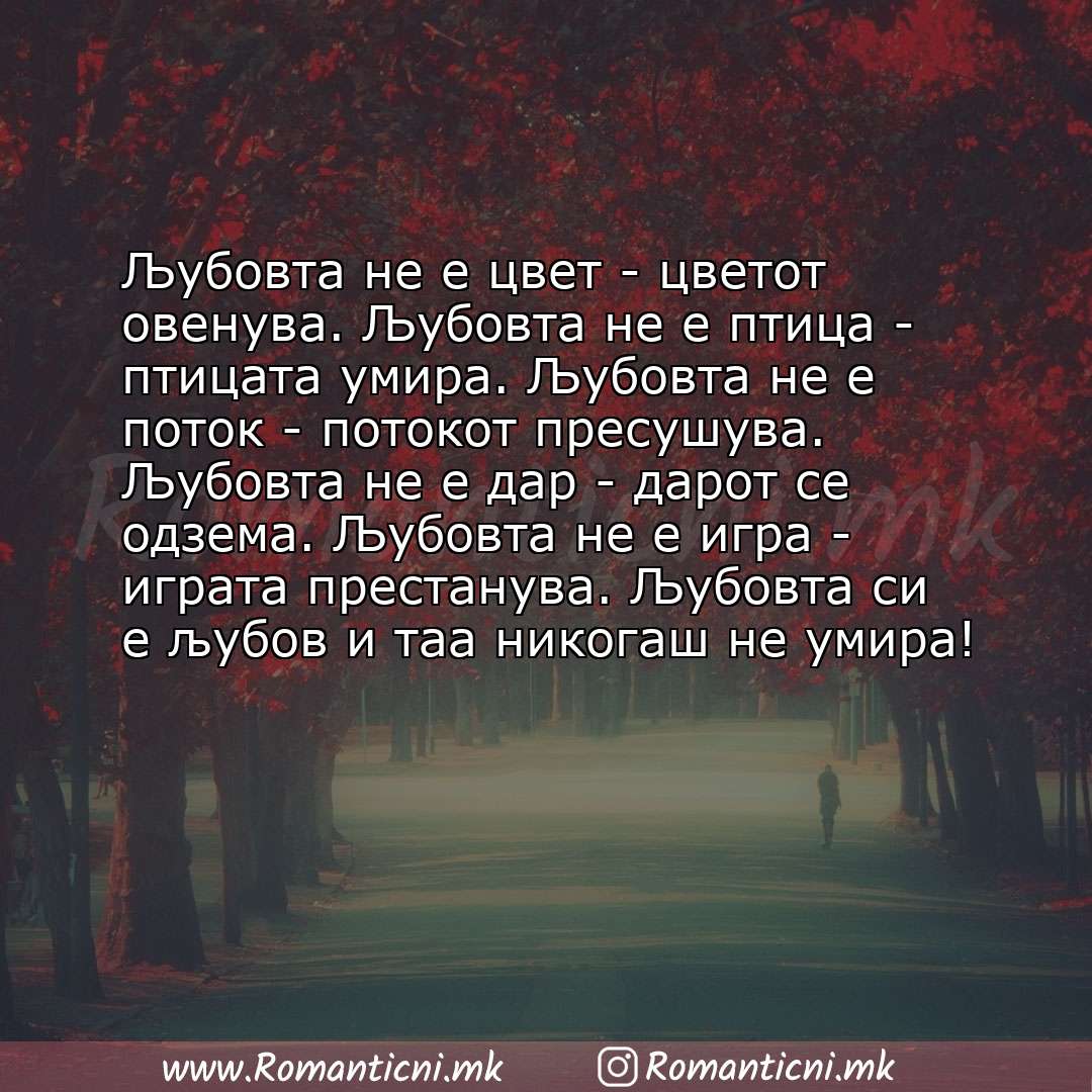 Rodendenski poraki: Љубовта не е цвет - цветот овенува. Љубовта не е птица - птицата умира. Љубовта не е поток - потокот пресушува. Љу