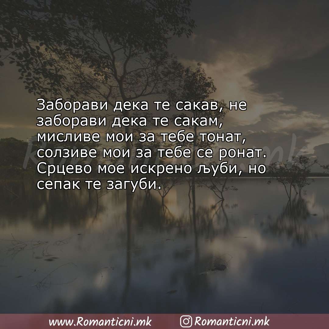 Ljubovni poraki: Заборави дека те сакав, не заборави дека те сакам, мисливе мои за тебе тона