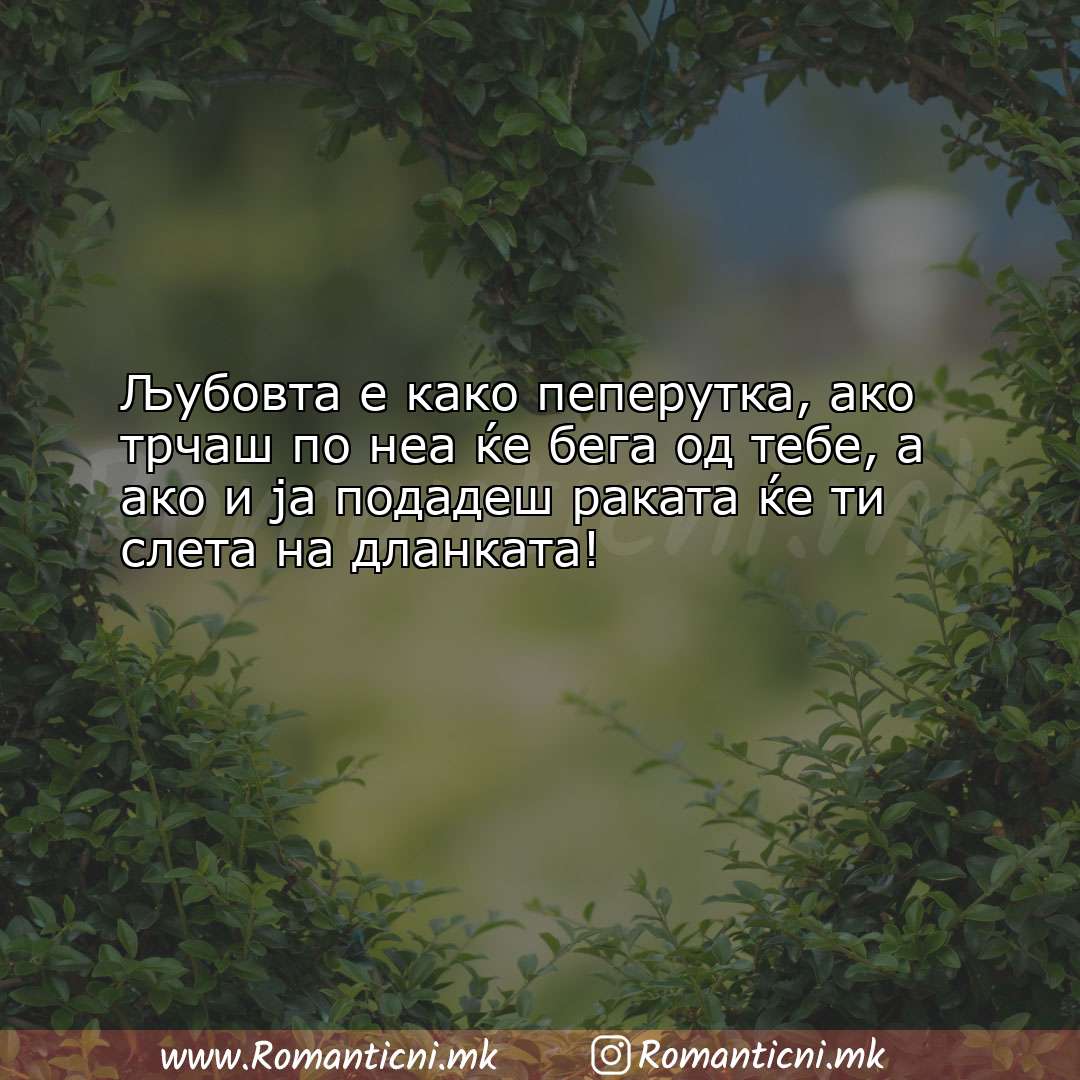 Роденденски пораки: Љубовта е како пеперутка, ако трчаш по неа ќе бега од т