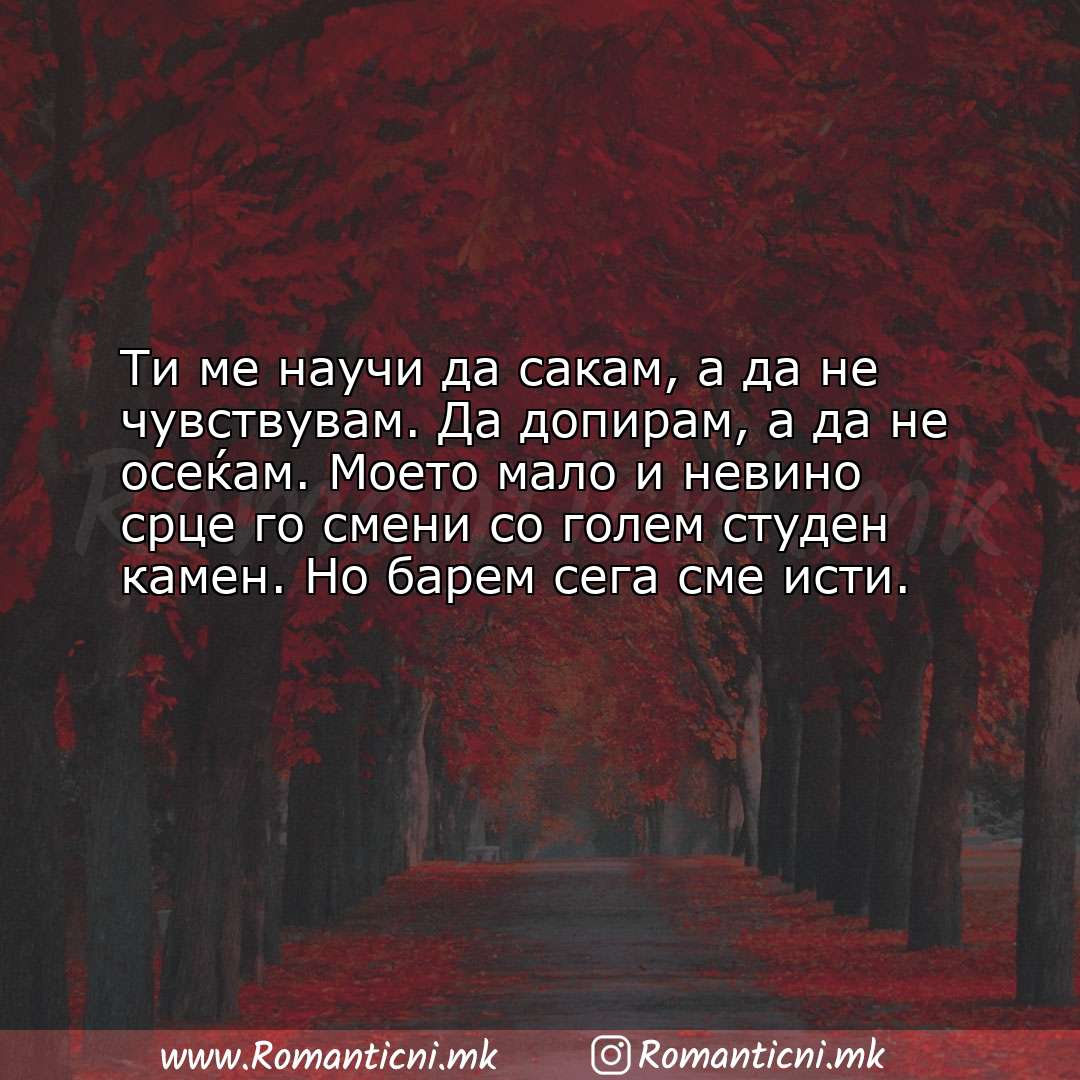 Poraki za dobra nok: Ти ме научи да сакам, а да не чувствувам. Да допирам, а да не осеќам. Моето 