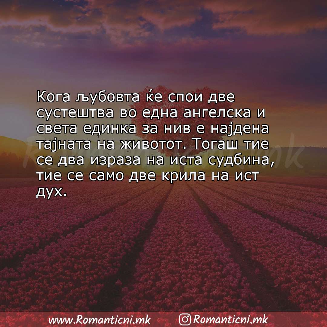 Rodendenski poraki: Кога љубовта ќе спои две сустештва во една ангелска и света единка за нив е најдена тајн