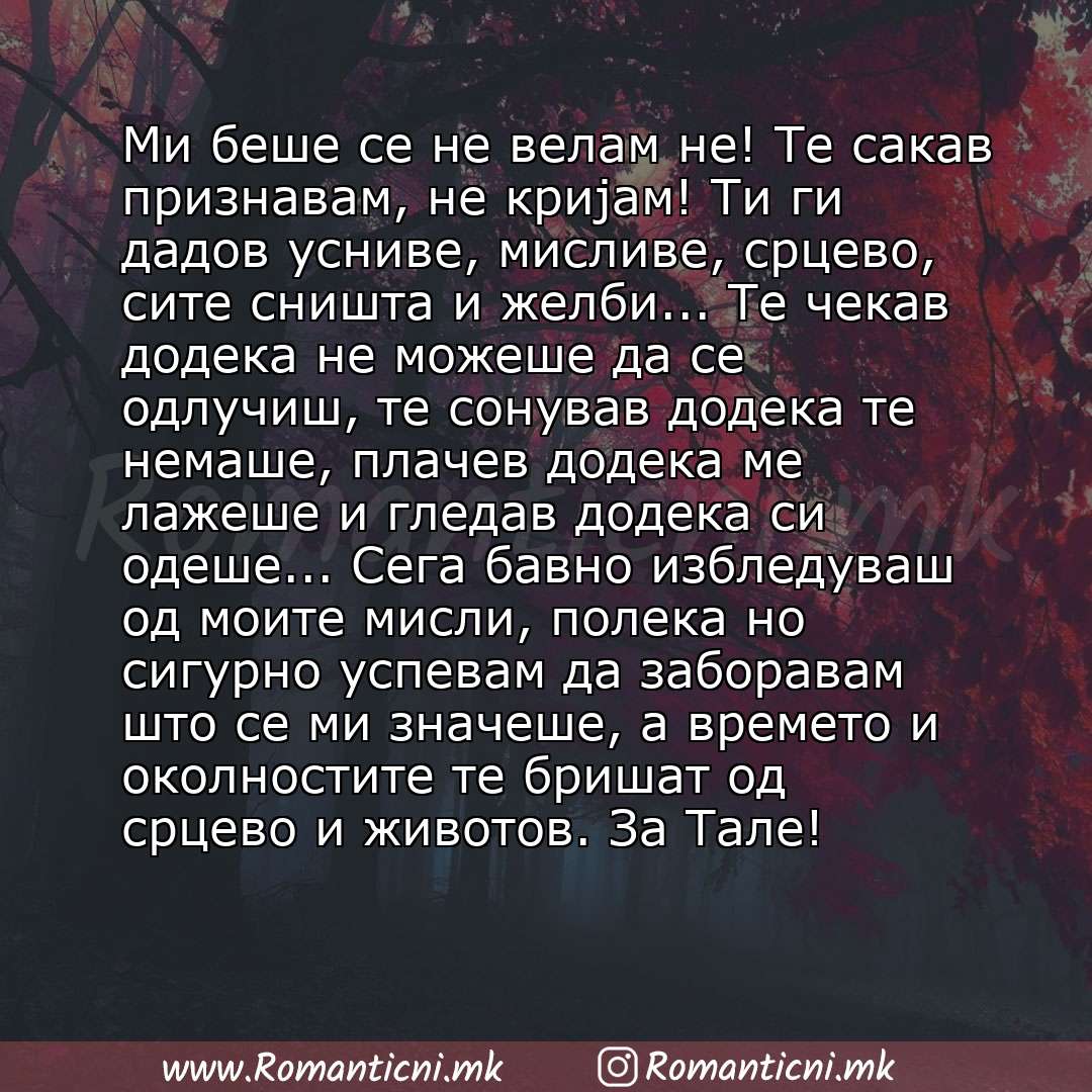 Љубовни смс пораки: Ми беше сe не велам не! Те сакав признавам, не кријам! Ти ги дадов усниве, мисливе, срцево, сите сништа и желби... Те чекав додека не можеше да се одлучиш, те сонував додека те немаше, плачев додека 