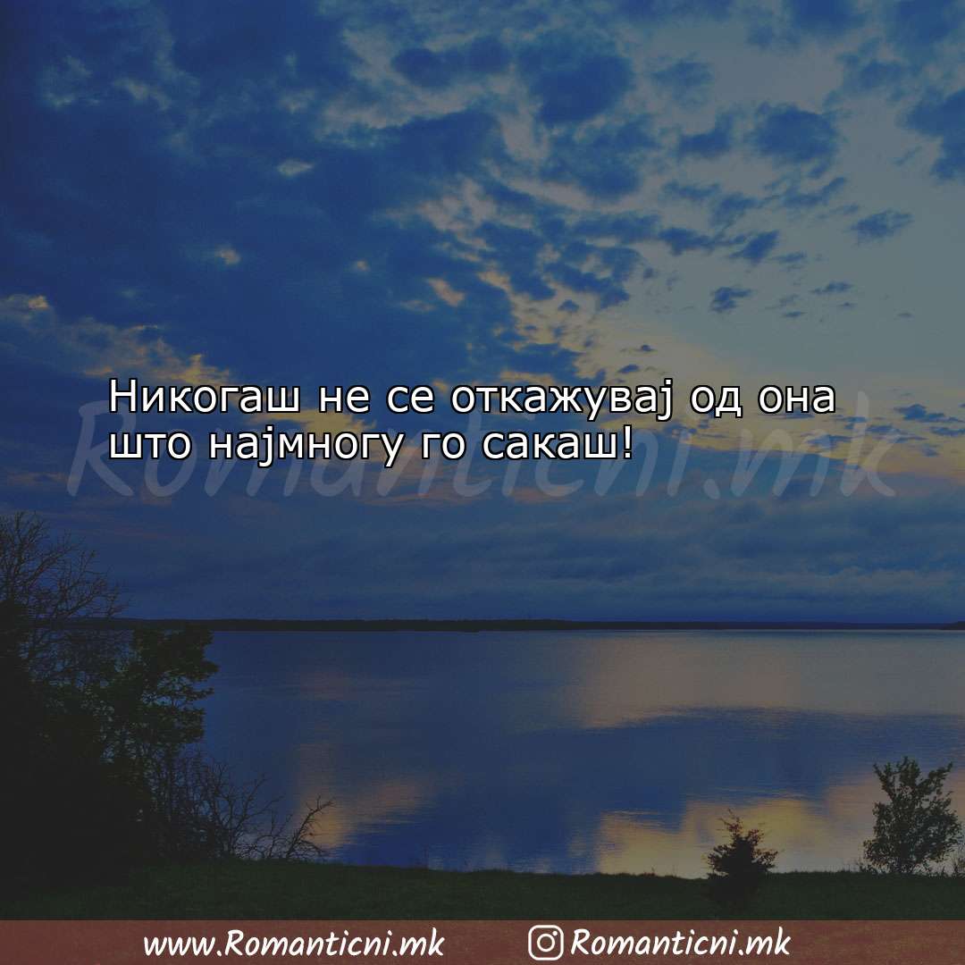 Роденденски пораки: Никогаш не се откажувај од