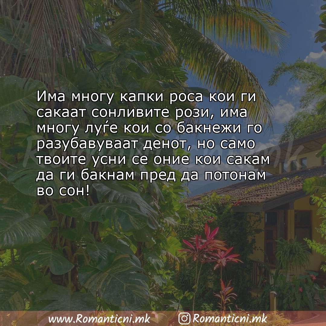 poraki za prijatel: Има многу капки роса кои ги сакаат сонливите рози, има многу луѓе кои со бакнежи го разу